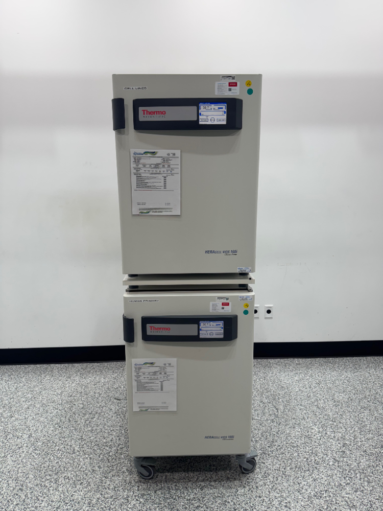 Image of Thermo HERAcell Vios 160i Double Stack CO2 Incubator